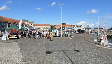 Läs mer om artikeln Skördetid på Österlen 2025